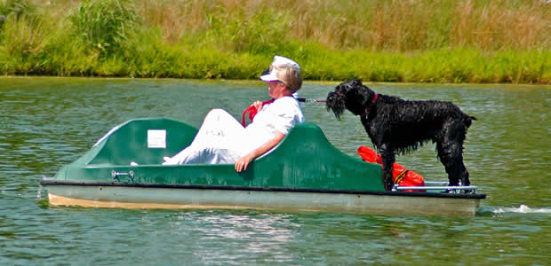 Paddle With Your Pooch