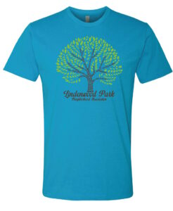 Lindenwood Streets Short-Sleeve T (Turquoise)