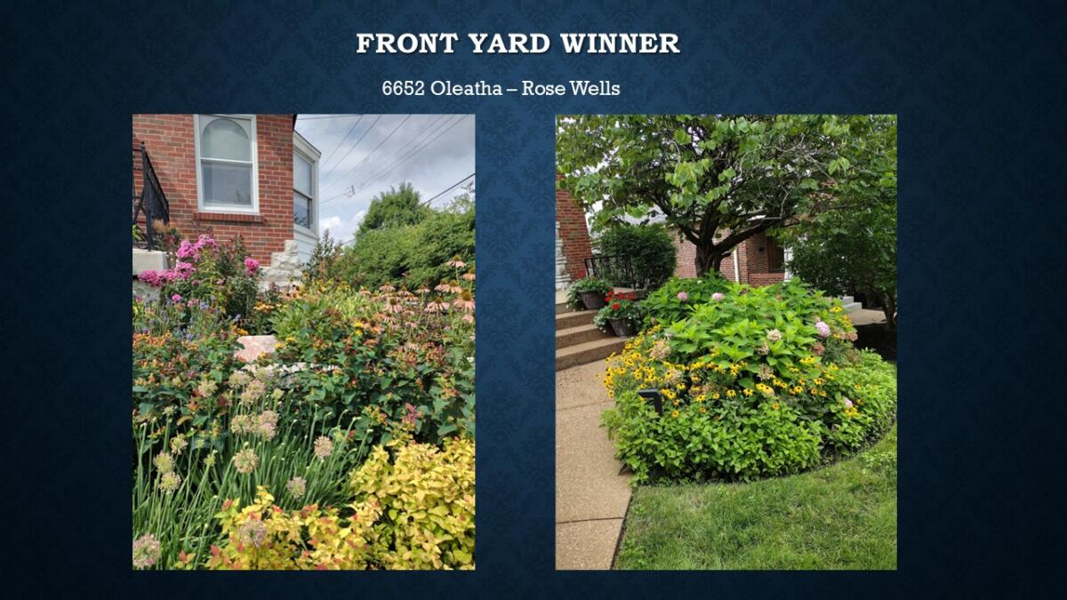 Front Yard Winner 6652 Oleatha Rose Wells