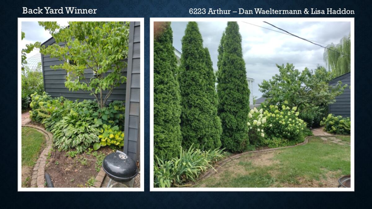 Back Yard Winner 6223 Arthur Dan Waeltermann & Lisa Haddon