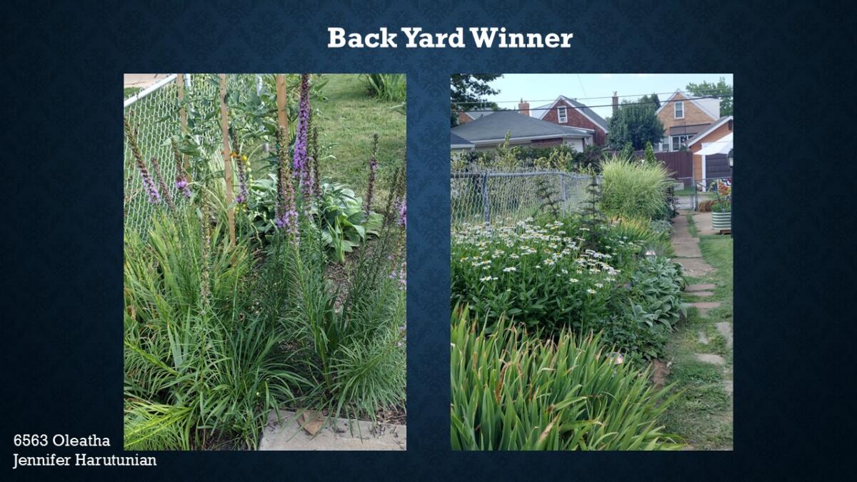 Back Yard Winner 6563 Oleatha Jennifer Harutunian
