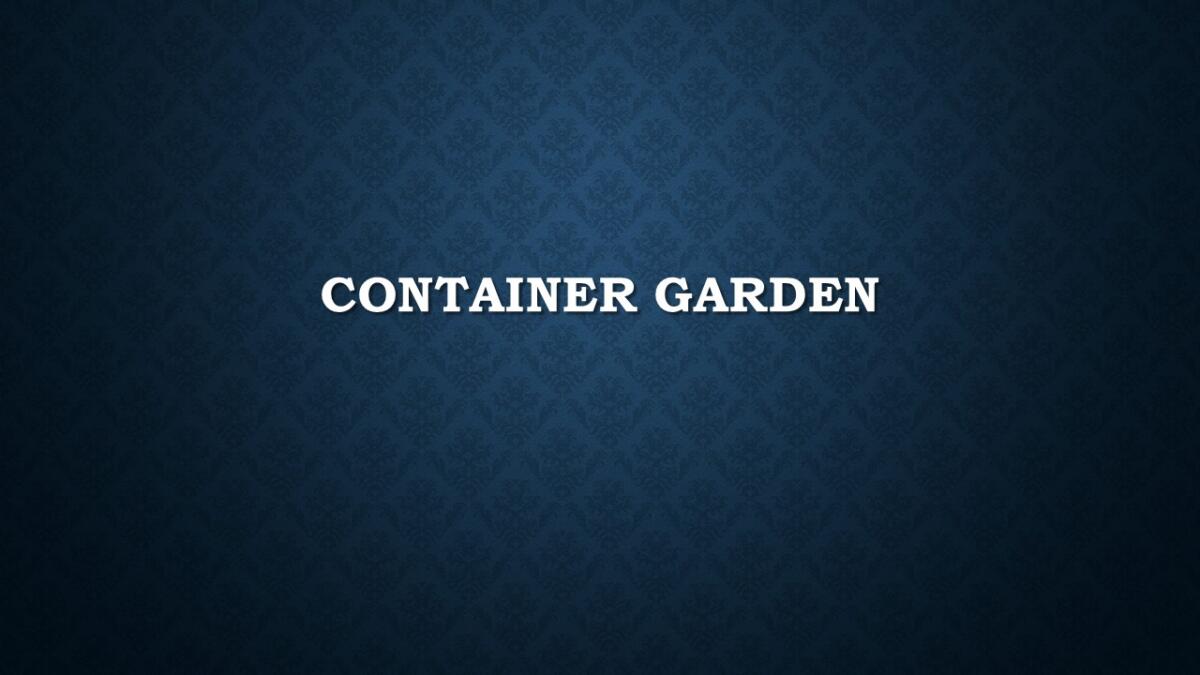 Container Garden