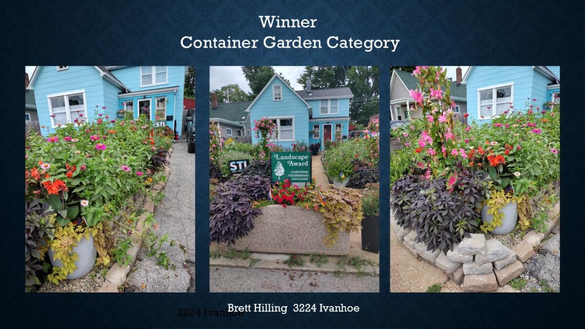 Container Garden Winner 3224 Ivanhoe Brett Hilling