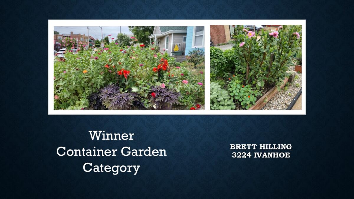 Container Garden Winner 3224 Ivanhoe Brett Hilling