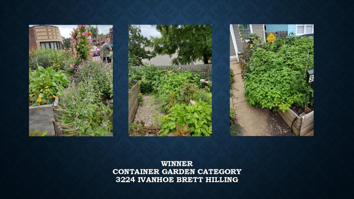 Container Garden Winner 3224 Ivanhoe Brett Hilling