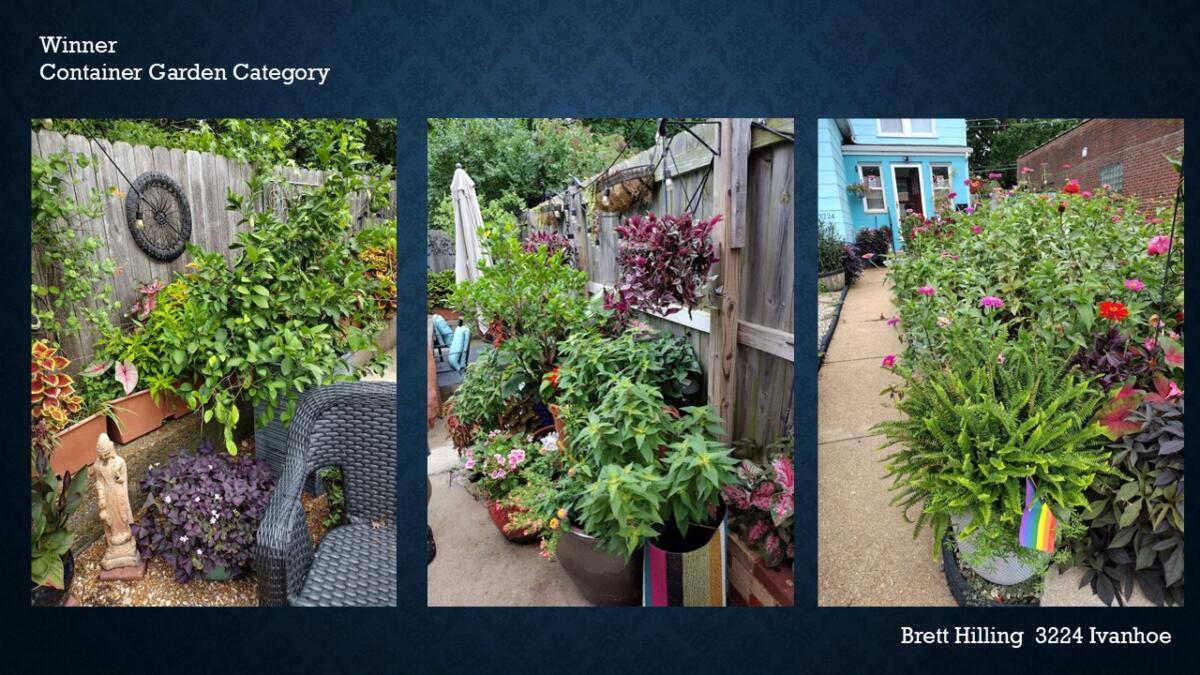 Container Garden Winner 3224 Ivanhoe Brett Hilling