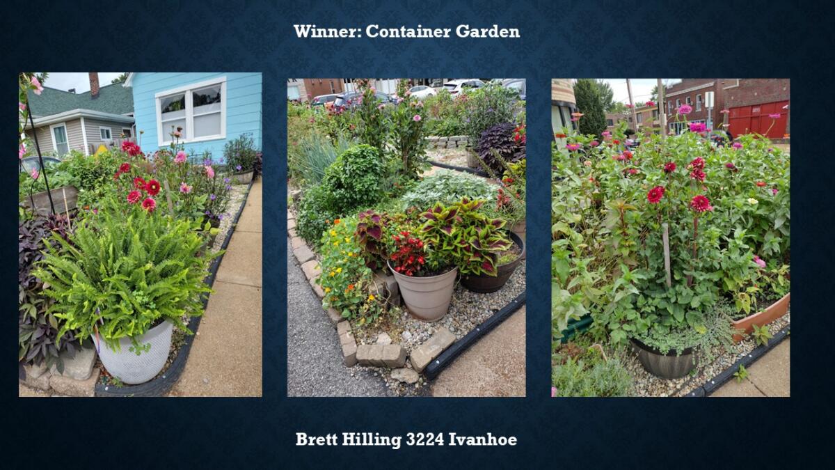 Container Garden Winner 3224 Ivanhoe Brett Hilling